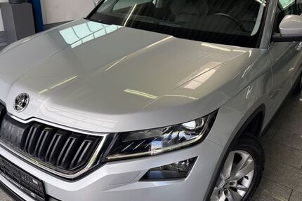 Skoda Kodiaq 168.800 km 19.777 &euro; Köln 50829