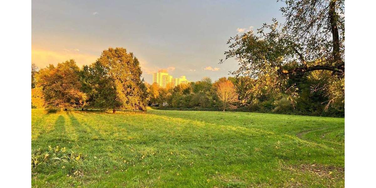 ... und vom Balkon die 