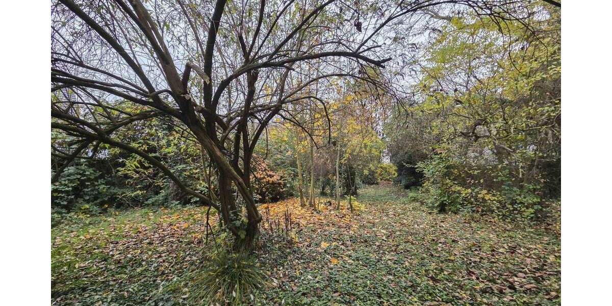 Pulheim-Brauweiler: Vielseitiges Wohnbaugrundstück mit B-Plan in gefragter Lage zimmer