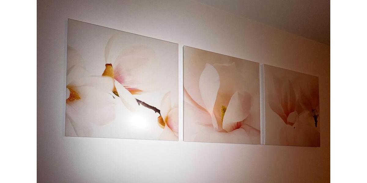 3 Zimmer Wohnung mit Fenster im Bad und im Gäste WC inkl. kostenfreiem Spitzboden 3 zimmer