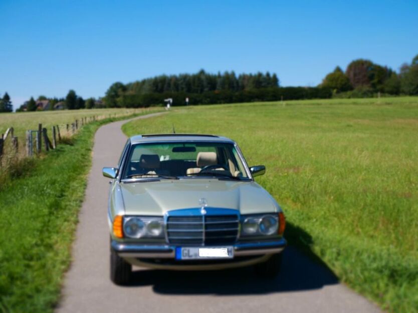 230
