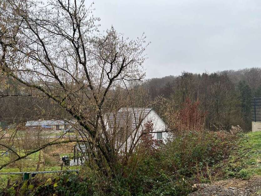 Grundstück zu verkaufen in Neunkirchen-Seelscheid 228.000 € 572 m²