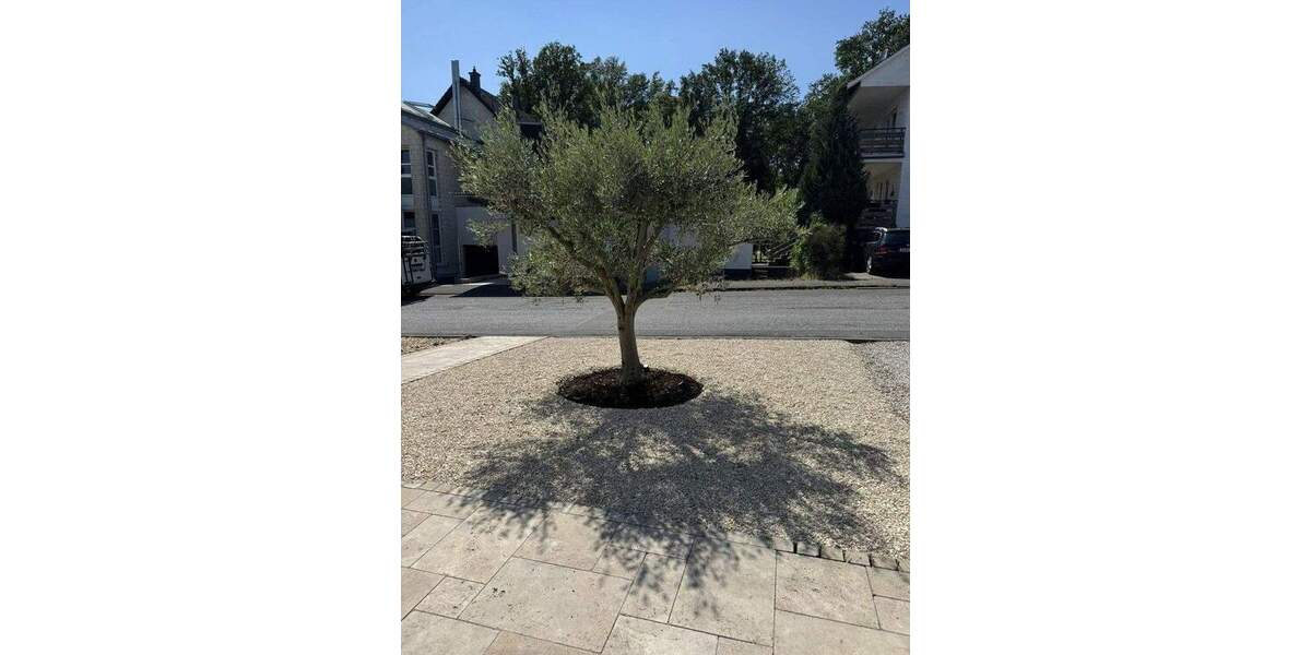 Doppelhaushälfte Rösrath - 7 Zimmer, 240 m&sup2;, 899.000&euro; | Angebot:24534219