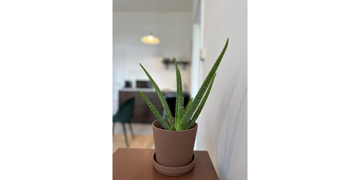 Möblierte sanierte Altbau City-Wohnung in Unterbilk zimmer