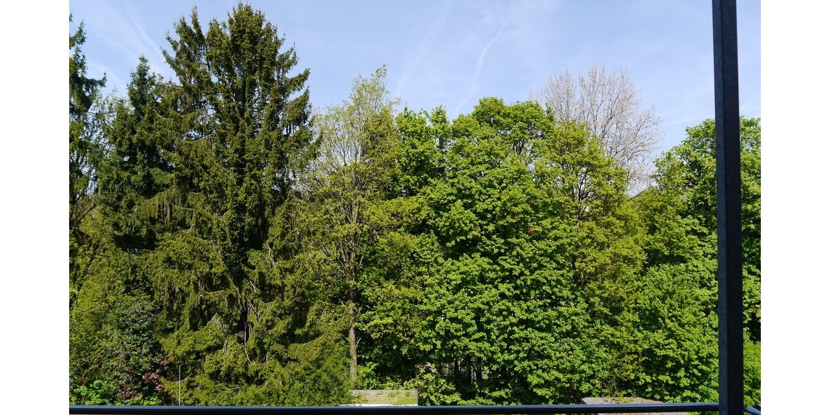 SG, komfortable 83m² 2 Zi. Loftwohnung mit Unikat-Charakter, Balkon, Stellplatz, EBK - Loft - Studio - Atelier Solingen Mitte | Angebot:26855412