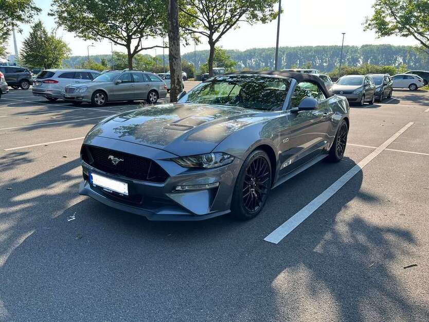 Mustang