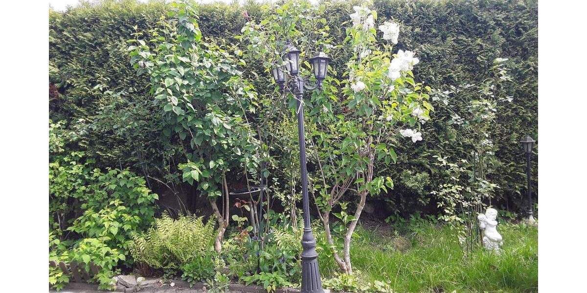 Mehrfamilienhaus, Wohnhaus Kerpen Horrem - 8 Zimmer, 170 m&sup2;, 529.000&euro; | Angebot:25479042