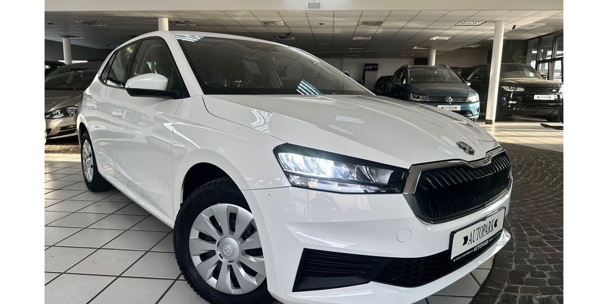 Skoda Fabia 260.000 km 9.950 &euro; Hilden (bei Düsseldorf) 40721