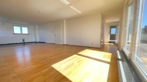 Penthouse Pur Viel Platz, viel Licht, beeindruckende Dachterrasse in Niederkassel-Mondorf - Einfamilienhaus Niederkassel | Angebot:27144538