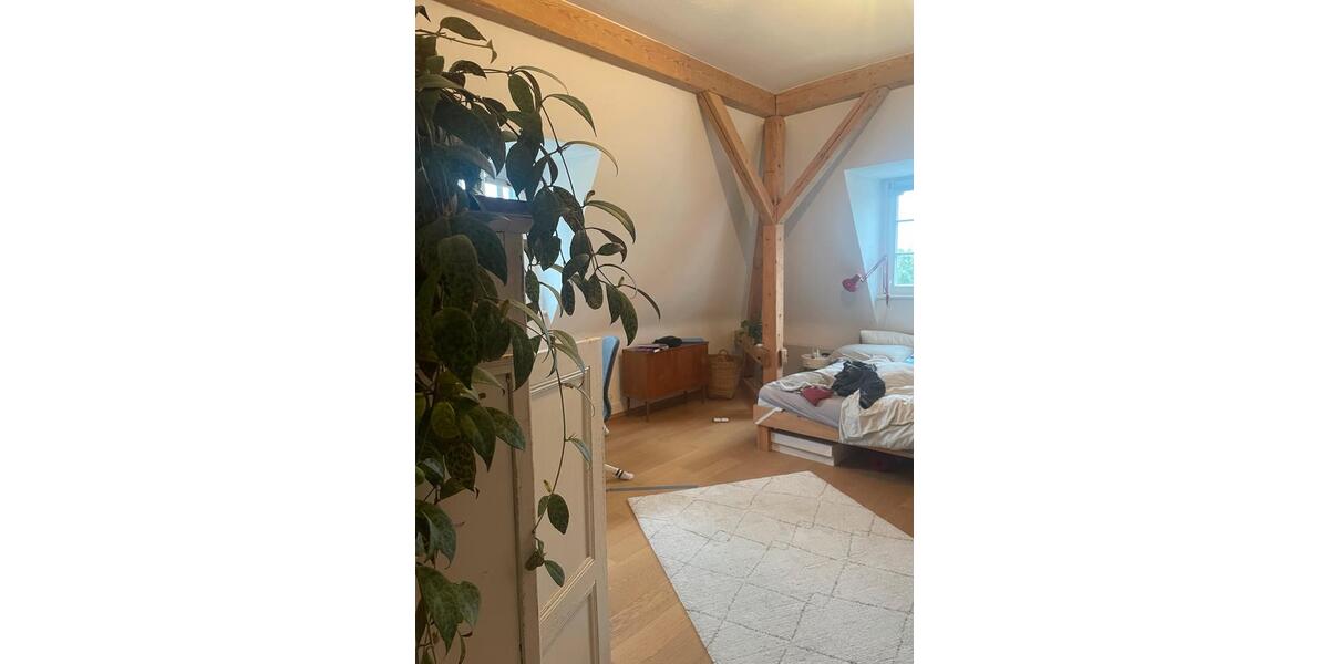 Wunderschöne Wohnung 3 zimmer