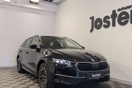 Skoda Octavia 8.500 km 34.690 &euro; Monheim 40789