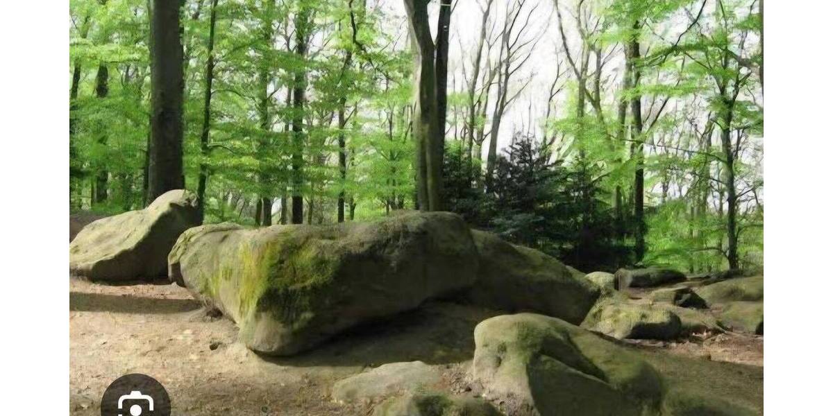 Mehrfamilienhaus, Wohnhaus Düsseldorf Rath - 1 Zimmer, 698 m&sup2;, 2.598.000&euro; | Angebot:26890039