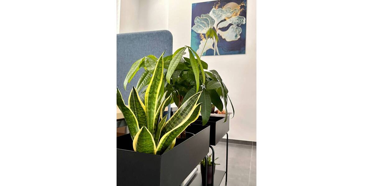 Gewerbeobjekt Brühl - 850&euro; | Angebot:26344459
