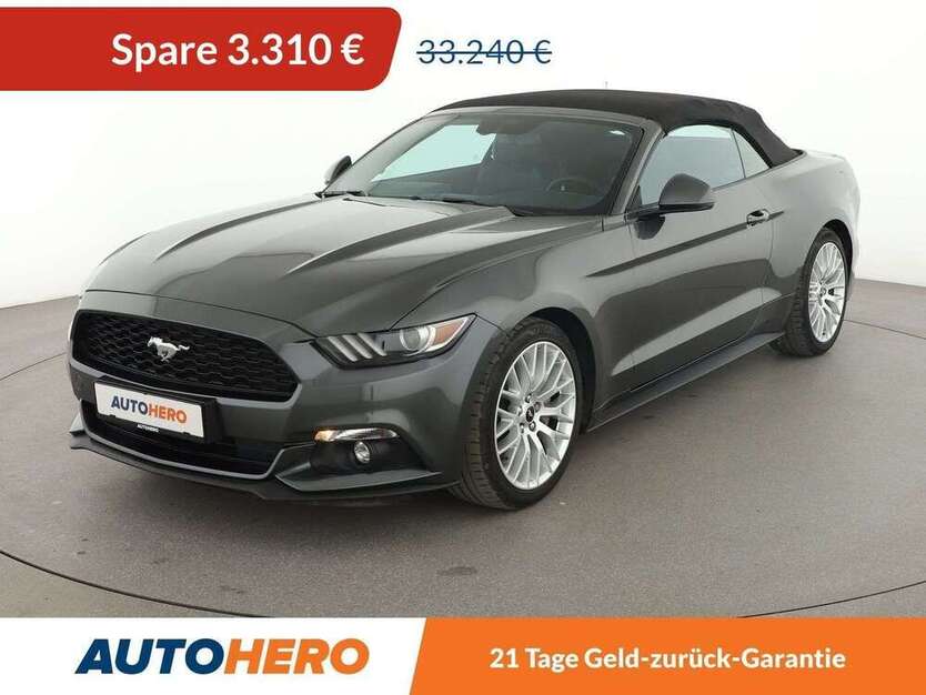 Mustang
