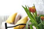 Etagenwohnung Bedburg - 3 Zimmer, 68 m&sup2;, 653&euro; | Angebot:25881128