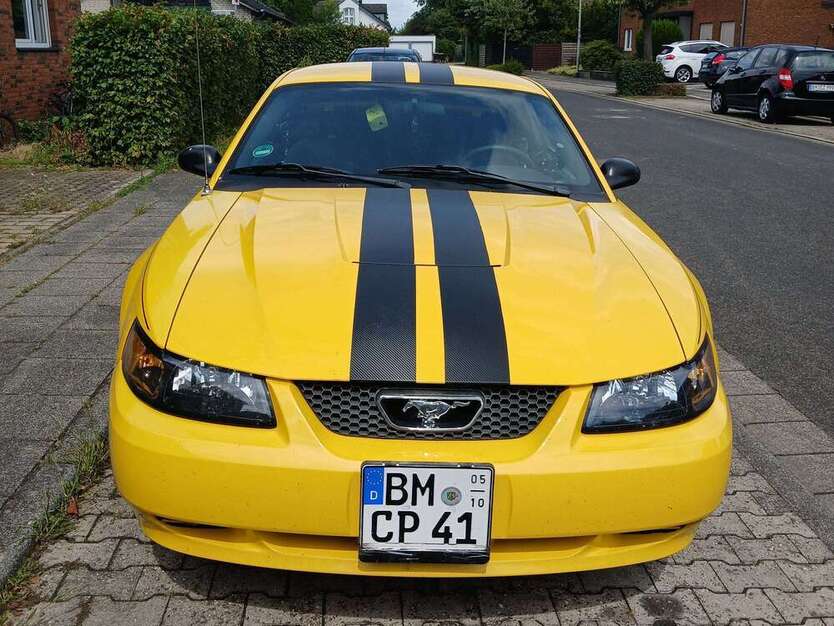 Mustang