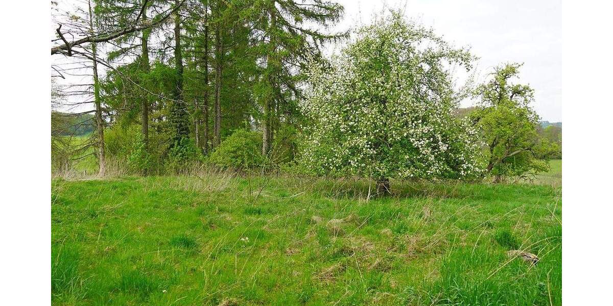 Doppelbungalow, Weideland, Stallung 4 zimmer