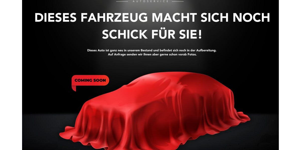 Ford Mustang 125.000 km 38.800 &euro; Remscheid/NRW 42855