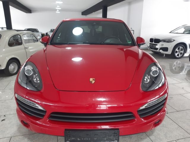 Cayenne