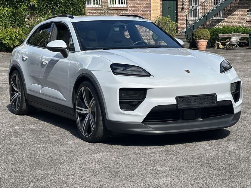 Macan