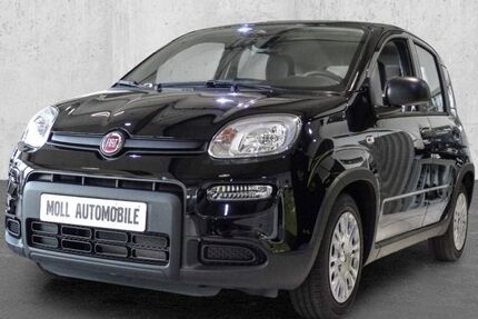 Fiat Panda 5.990 km 13.480 &euro; Köln 51149