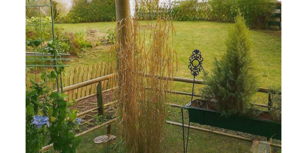 Etagenwohnung Solingen Gräfrath - 3 Zimmer, 85 m&sup2;, 283.000&euro; | Angebot:25410459