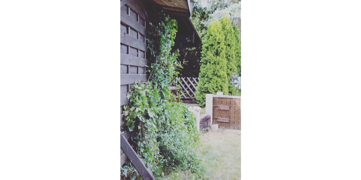 Bungalow Köln Rodenkirchen - 3 Zimmer, 95 m&sup2;, 299.000&euro; | Angebot:26291779