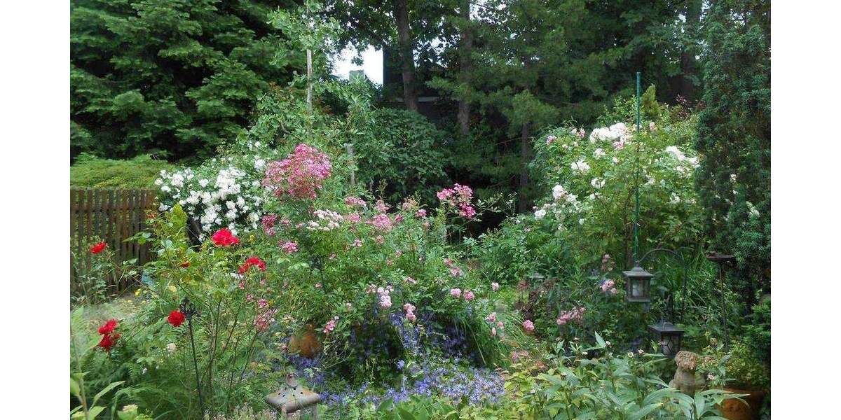 Reihenmittelhaus Köln Höhenhaus - 5 Zimmer, 135 m&sup2;, 455.000&euro; | Angebot:25380826