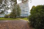 Etagenwohnung Dormagen Hackenbroich - 2 Zimmer, 64 m&sup2;, 760&euro; | Angebot:26265938