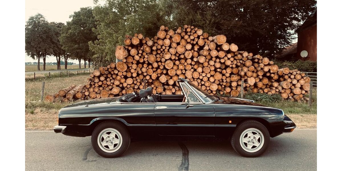 Alfa Romeo Spider 114.500 km 19.900 € Köln 50858