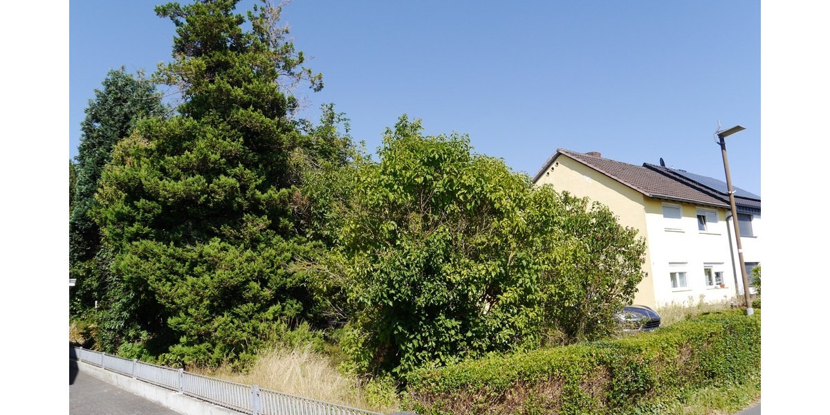 1-2 Fam. DHH + 876m² Grdst., 141m² Wfl., Grg., W-Garten u.Anbauten - Doppelhaushälfte Rommerskirchen Gill | Angebot:27142417
