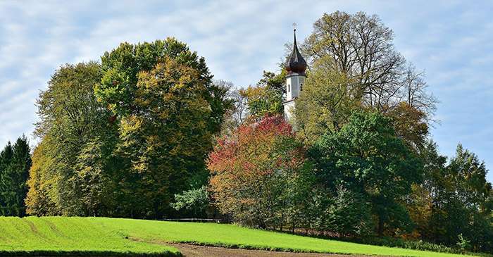 Gastronomie in Köln 1.950.000 € 10000 m²