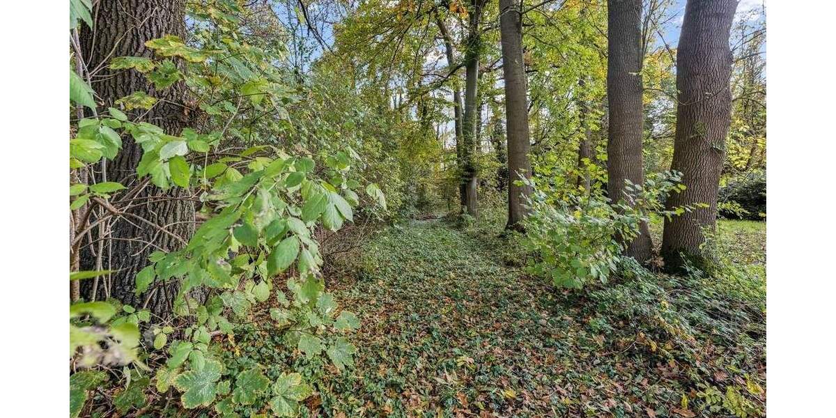 Einfamilienhaus Grevenbroich / Kapellen Kapellen - 5 Zimmer, 216 m&sup2;, 750.000&euro; | Angebot:25358055