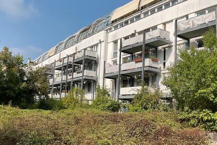 Gepflegte Wohnung in ruhiger Lage von Bad Godesberg zu vermieten 4 zimmer