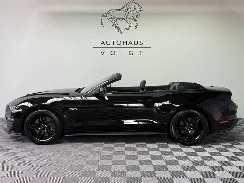 Mustang