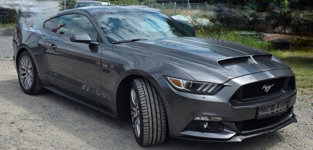 Mustang