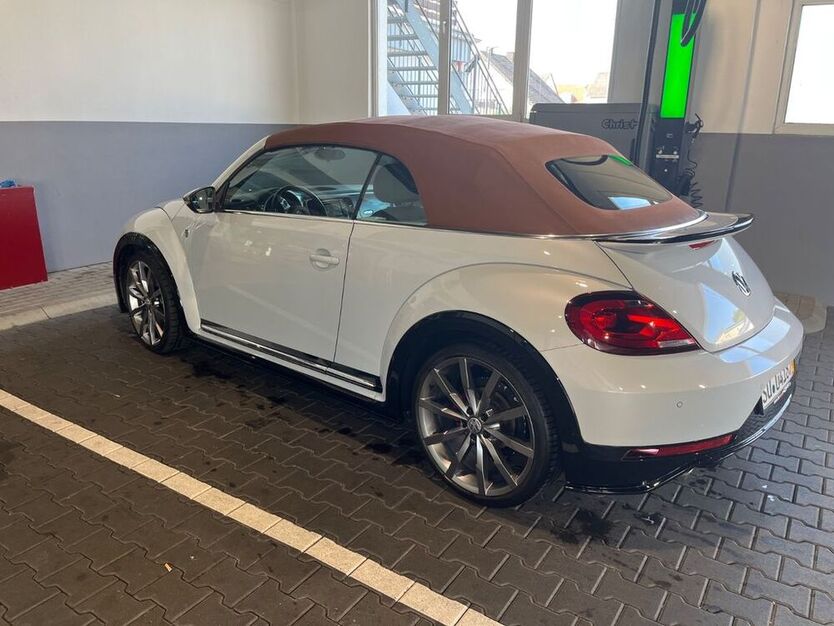 Beetle