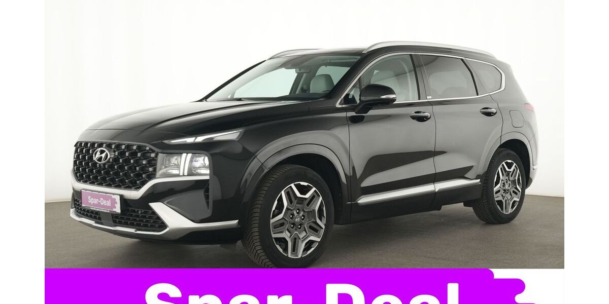 Hyundai SANTA FE 73.082 km 29.269 &euro; Neuss 41460