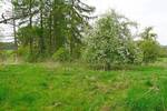 Mehrfamilienhaus, Wohnhaus Bergisch Gladbach Asselborn - 5 Zimmer, 170 m&sup2;, 550.000&euro; | Angebot:26196790