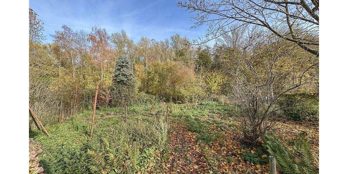 Kierdorf: Freistehendes Einfamilienhaus mit Potenzial 5 zimmer