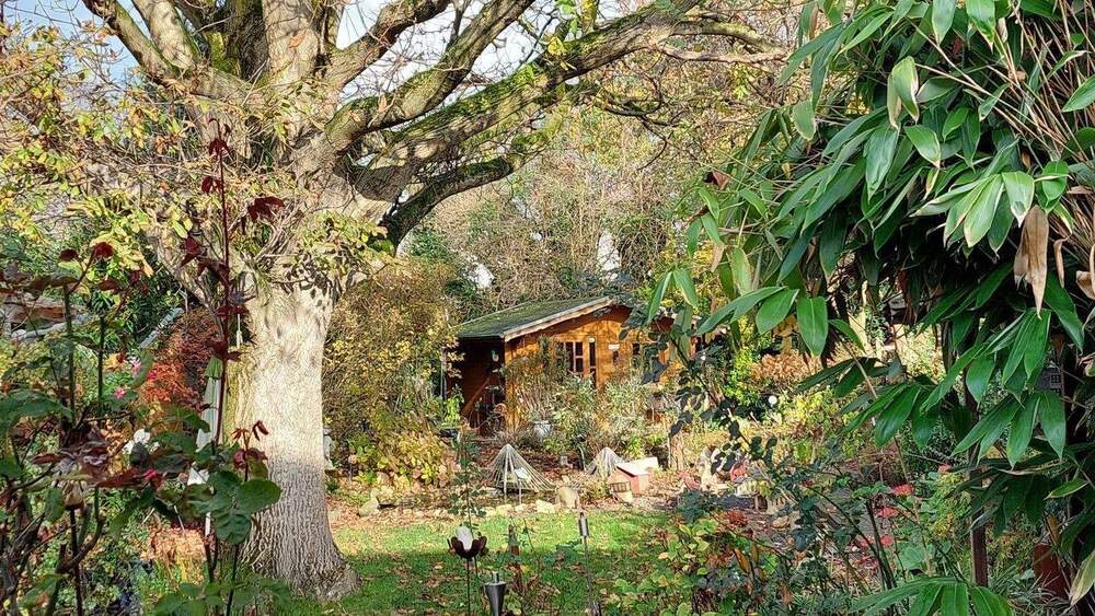 Bachem, attraktive Lage, Einfamilienhaus mit großem Garten, 4 Zimmer, EBK, Terrasse, Garage, Keller 4 zimmer