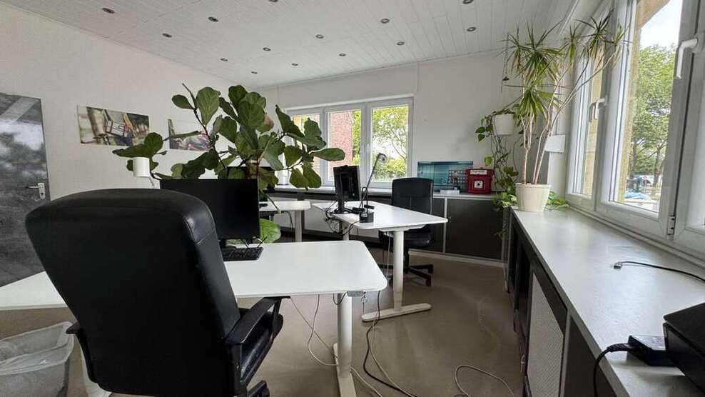 Büro in Köln 700 € 38 m²