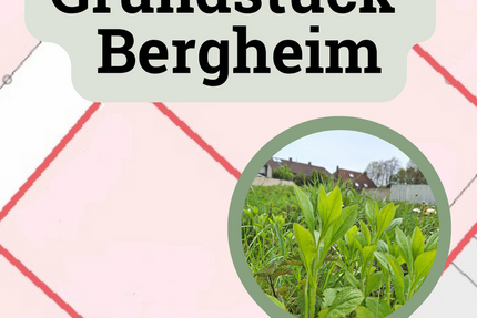 Grundstück Bergheim Auenheim - 95.500&euro; | Angebot:26219897