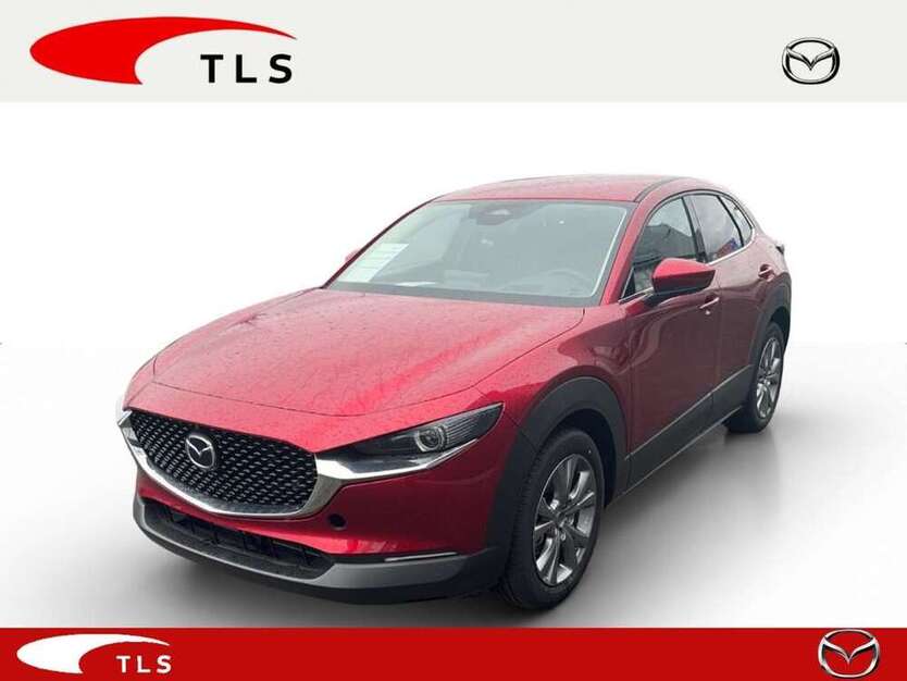 CX-30