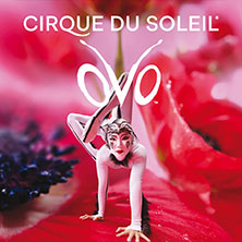 Cirque du Soleil - OVO 14.05.2027 LANXESS arena