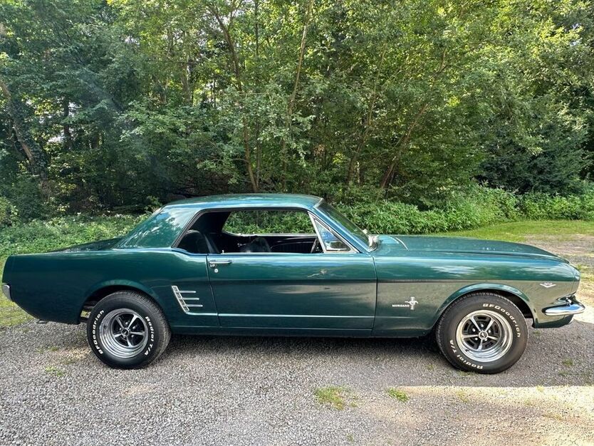 Mustang