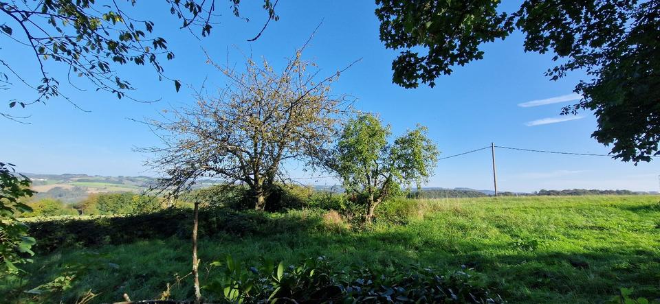 Freihstehendes Einfamilienhaus mit unverbaubaren Fehrnblick 6 zimmer
