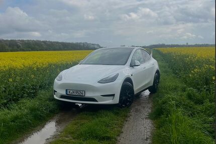 Tesla Model Y 32.000 km 30.999 &euro; Köln 50825