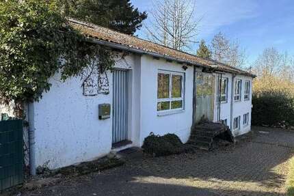 Halle in Solingen 239.000 € 250.95 m² zimmer