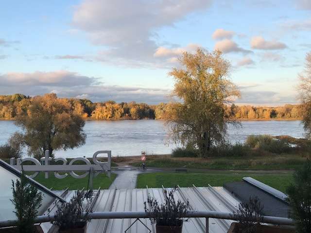 Büro in Köln 300 € 14 m²